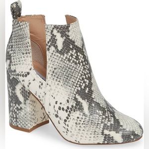 Steve Madden Nayna Snake Booties